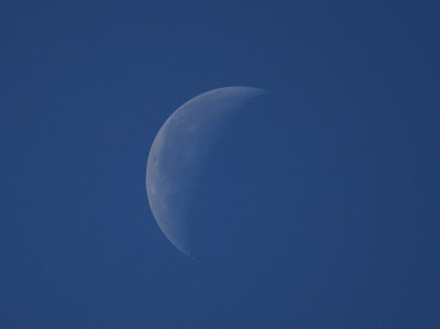 Moon at noon IMG_2556.JPG