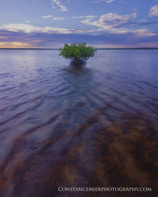 Chokoloskee Bay