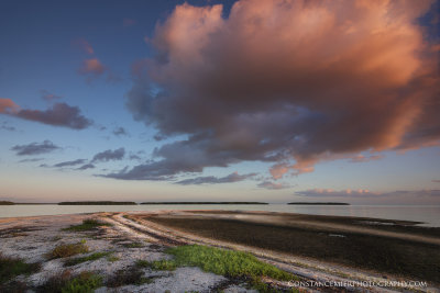 The Beach