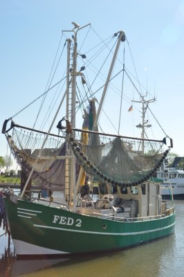 Shrimp Boat