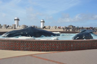 Promenading Whales 