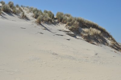 Dunes