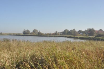 Lake in the salt marshes