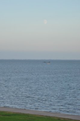 Moon over Jade Bay