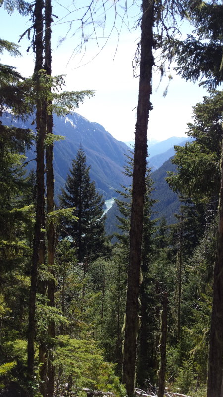 sourdough trail looking toward diablo lake