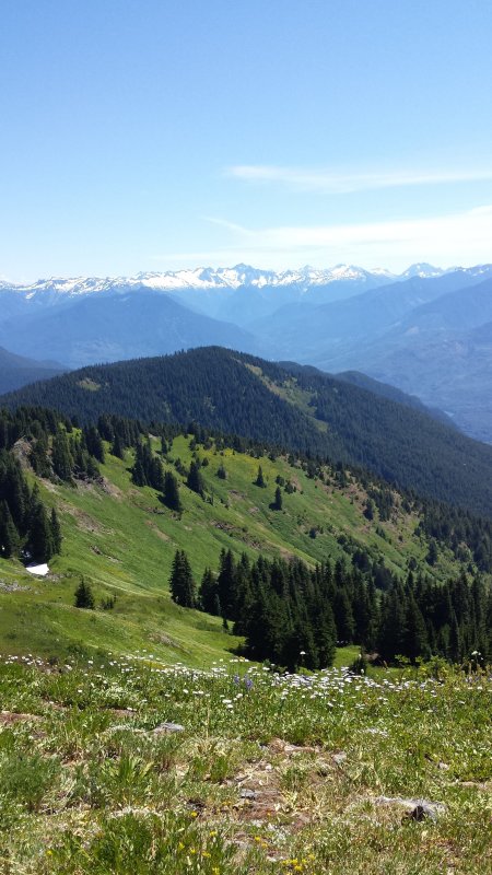lookout mt