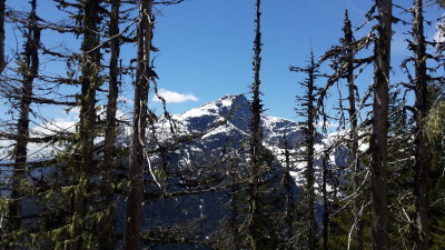 sourdough trail ruby mt.