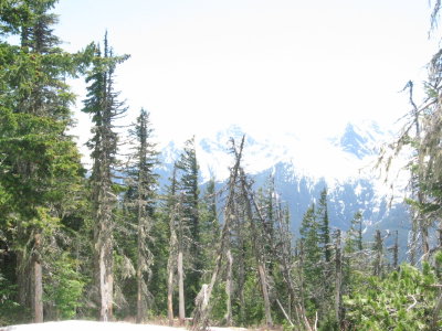 sourdough trail