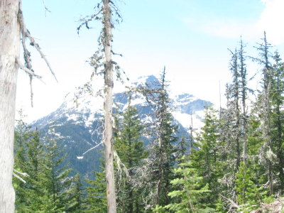sourdough trail