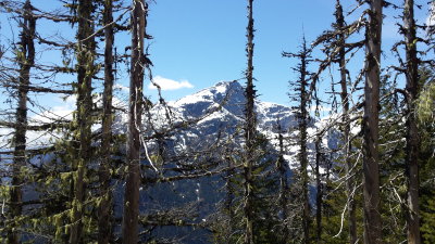 sourdough trail to pickett range