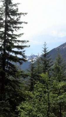 Jack's mt trail 