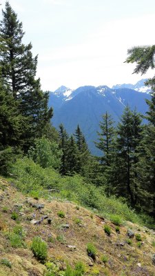 Jack's mt trail 