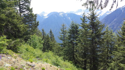 Jack's mt trail 