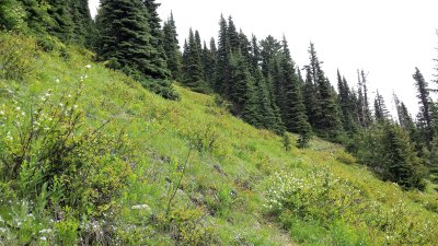 Jack's mt trail 
