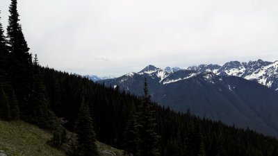 Jack's mt trail 