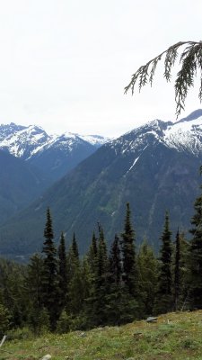 Jack's mt trail 