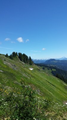 lookout mt