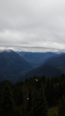lookout mt