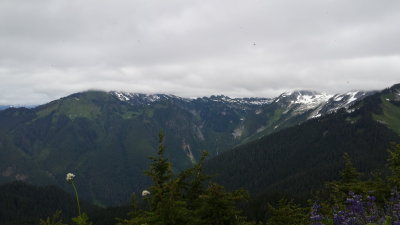 lookout mt
