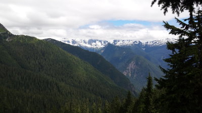 lookout mt