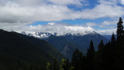 lookout mt