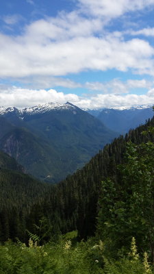 lookout mt
