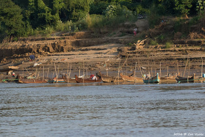Irriwaddy river.jpg