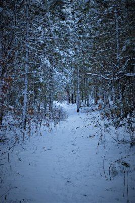 DSC_0004 (2).JPG