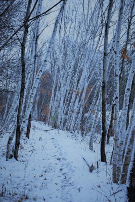 DSC_0015 (2).JPG