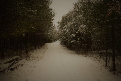 DSC_0026 (2).JPG