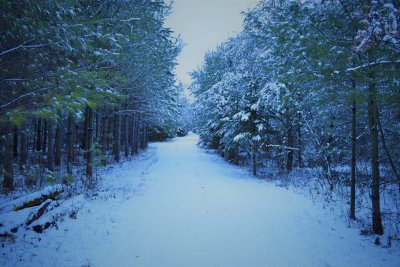 DSC_0026 (3).JPG