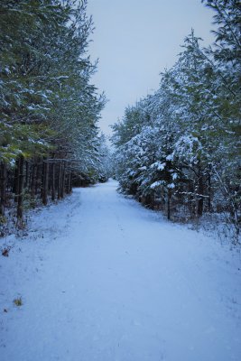 DSC_0027 (2).JPG