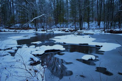 DSC_0042 (2).JPG