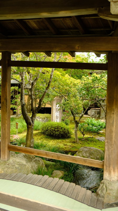 DSCF1069.JPG