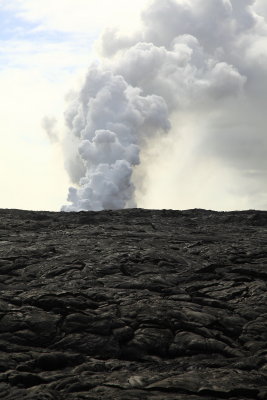 _MG_5656.JPG
