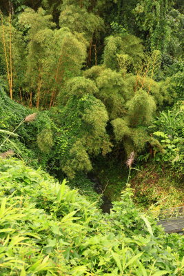 _MG_5721.JPG