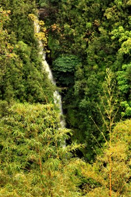 _MG_5730.JPG