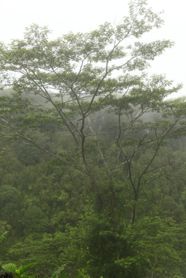 _MG_5736.JPG