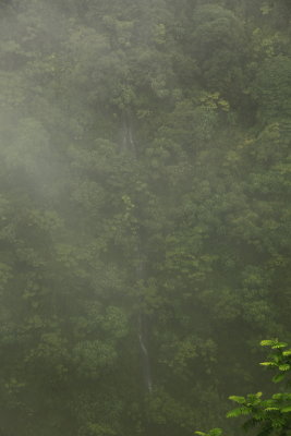_MG_5739.JPG