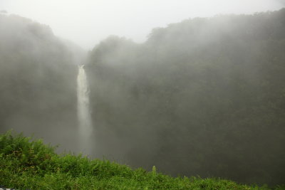 _MG_5741.JPG