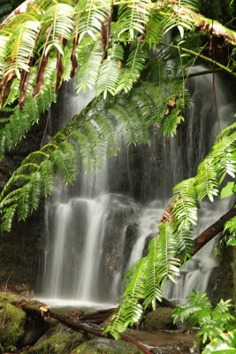 _MG_5745.JPG