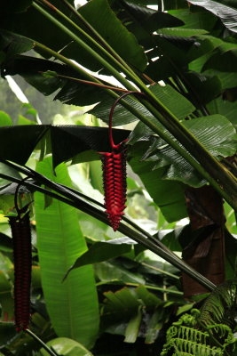 _MG_5748.JPG