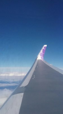 20170121_131547.jpg