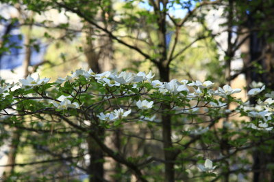 _MG_6358.JPG