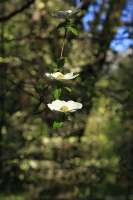 _MG_6360.JPG