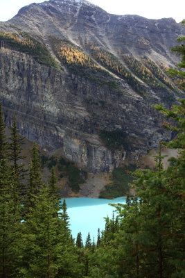 _MG_7658.JPG