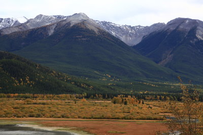 _MG_7746.JPG