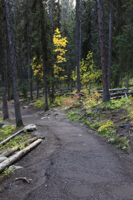 _MG_7849.JPG