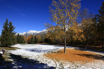 _MG_7880.JPG