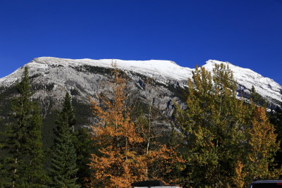 _MG_7915.JPG